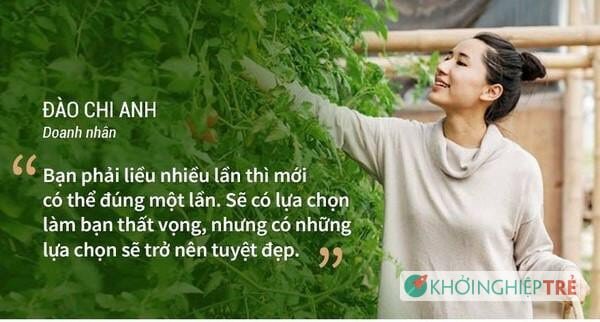 Bài Học Cho Startup Từ Cựu Ceo The Kafe Đào Chi Anh