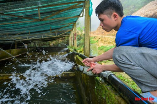 Khởi nghiệp với mô hình nuôi cá Tầm, thu gần 2 tỷ đồng/năm